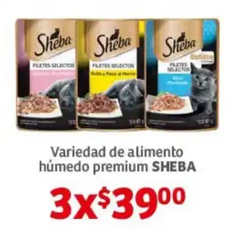 Soriana Híper Variedad de alimento humedo premium SHEBA oferta