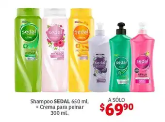 Shampoo SEDAL 650 ml. + Crema para peinar 300 ml