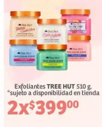 Exfoliantes TREE HUT