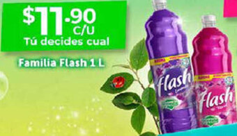 Farmacias Guadalajara Familia Flash 1L oferta