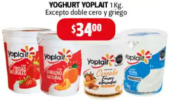 Yoghurt Yoplait 1kg