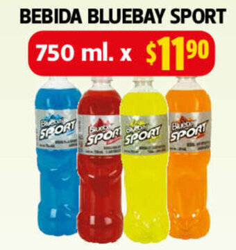 Farmacias Guadalajara Bebida Bluebay Sport 750ml oferta