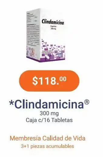 Clindamicina 300mg