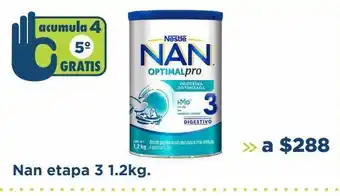 Nan etapa 3 1.2kg.