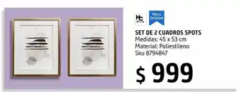 Sodimac Homecenter Set 2 cuadros spots 43x53 cm oferta