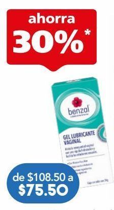 Farmacia San Pablo Benzal gel lubricante vaginal c/30gr oferta