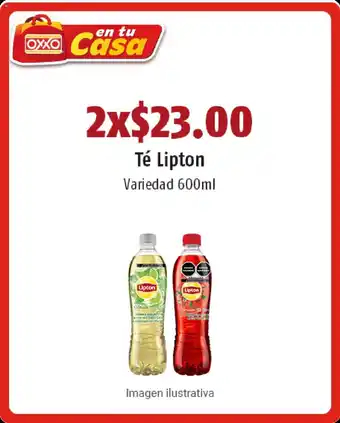 Te Lipton Variedad 600 ml
