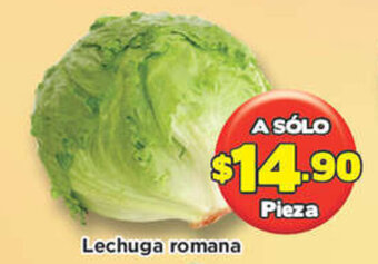 Lechuga Romana