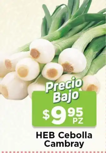 HEB Cebolla cambray oferta