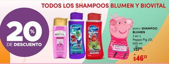 DelSol Shampoo blumen 500ml oferta