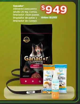 Alimento para perros ganador