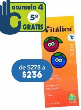 Vitalica kids jar mango c/250ml