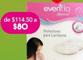 Evenflo protectores lactancia c/40pzs