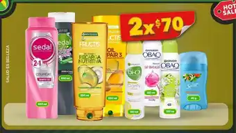 Bodega Aurrerá Shampoo x 2un oferta