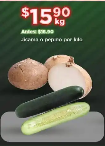 Jícama o pepino por kilo