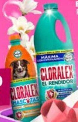 Farmacias Guadalajara Cloralex El Rendidor 2 L / Cloralex Mascotas 950 mL oferta