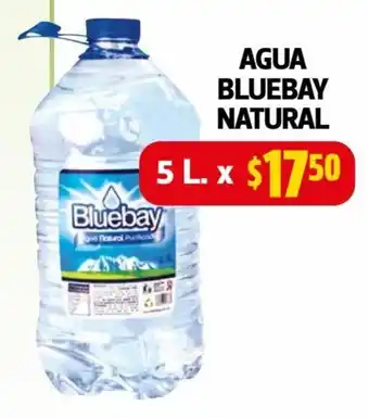Farmacias Guadalajara Agua Bluebay Natural 5 L oferta