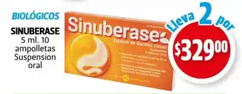 Farmacias Guadalajara Biologicos Sinuberase 5 ml 10 ampolletas Suspension oral oferta