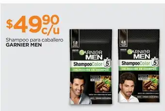 Shampoo para caballero garnier men