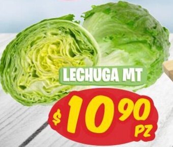 Lechuga MT