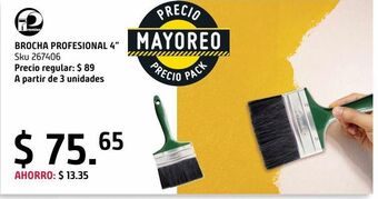 Brocha profesional 4"