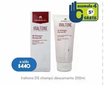 Iraltone ds champú descamante 200ml
