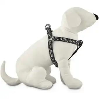 Petco Good2go arnés ajuste americano diseño calaveras para perro, mediano oferta
