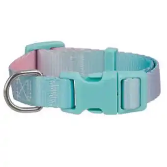 Petco Good2go collar aqua diseño degradado a rosa con broche para perro, chico oferta