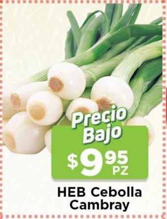 HEB HEB Cebolla Cambray oferta