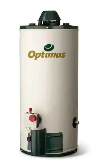 Mueblerías Portillo Boiler cinsa optimus or-10 10 gal l.p (i) oferta