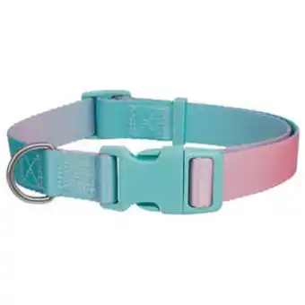 Good2go collar aqua diseño degradado a rosa con broche para perro, grande/x-grande