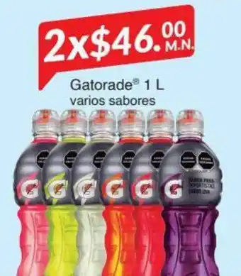 Gatorade 2 x 1L