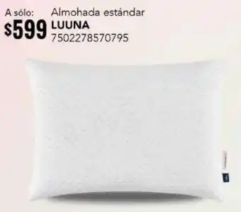 City Club Luuna Almohada Estándar oferta