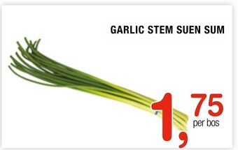 Amazing Oriëntal Garlic Stem Suen Sum aanbieding