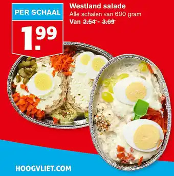 Hoogvliet Westland salade 600gram aanbieding