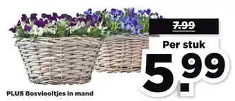 PLUS PLUS Bosviooltjes in mand aanbieding
