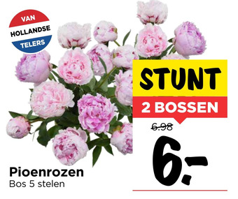 Vomar Voordeelmarkt Pioenrozen Bos 5 stelen aanbieding