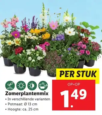 Lidl Zomerplantenmix aanbieding