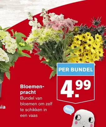 Hoogvliet Bloemen-pracht aanbieding