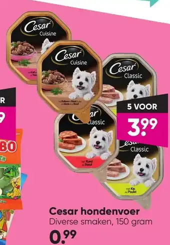 Big Bazar Cesar hondenvoer aanbieding