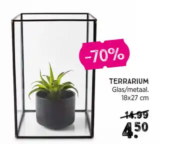 Xenos Terrarium 18x27 cm aanbieding