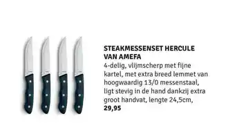 Nijhof Steakmessenset Hercule Van Amefa aanbieding