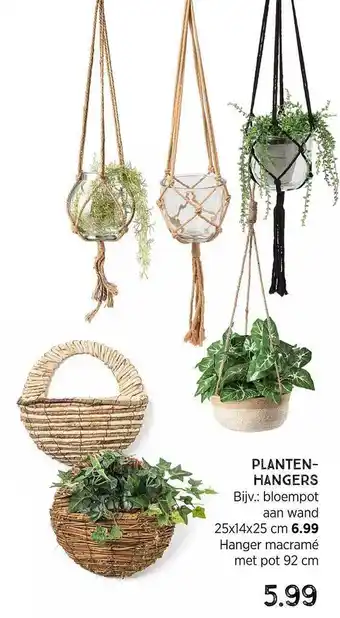 Xenos Plantenhangers aanbieding