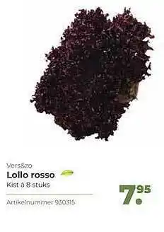 Bidfood Vers&Zo Lollo Rosso aanbieding