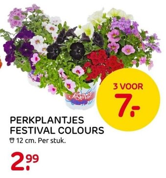 Praxis Perkplantjes Festival Colours 12 cm aanbieding