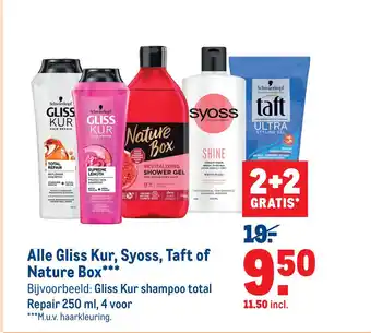 Makro Alle Gliss Kur, Syoss, Taft of Nature Box aanbieding