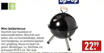 ALDI Mini-bolbarbecue aanbieding