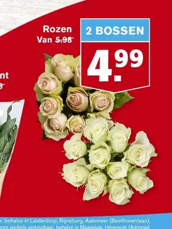 Hoogvliet Rozen 2 bossen aanbieding