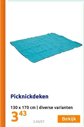 Action Picknickdeken 130 X 170 Cm aanbieding