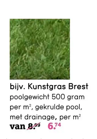 Leen Bakker Kunstgras Brest aanbieding